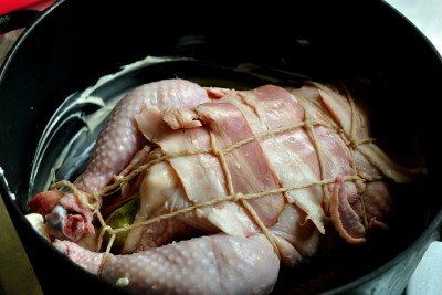 coq au vin 09