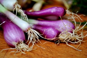 pastai scazute 03