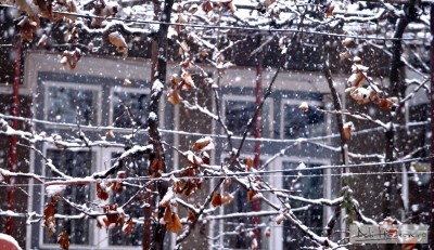 DSC_0001