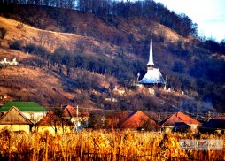 DSC_0019 (2)