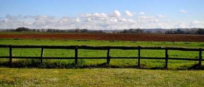 DSC_0036
