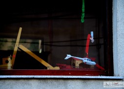 DSC_8427
