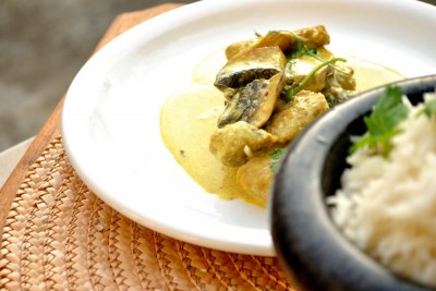 coriander porc curry 09