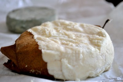 custare 01