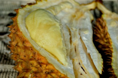durian 03