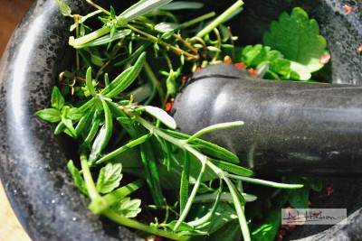 ierburi aromatice