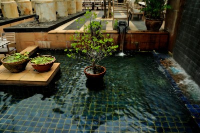 mayompuri garden 07