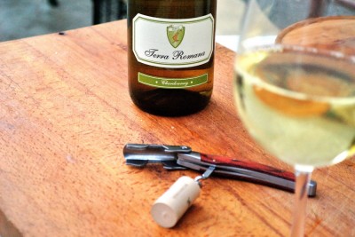 pui la aburi cu chardonnay 11