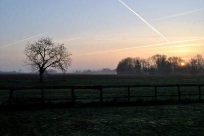 sunrises 03