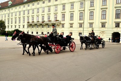 viena 66